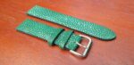 Stingray Green watch band